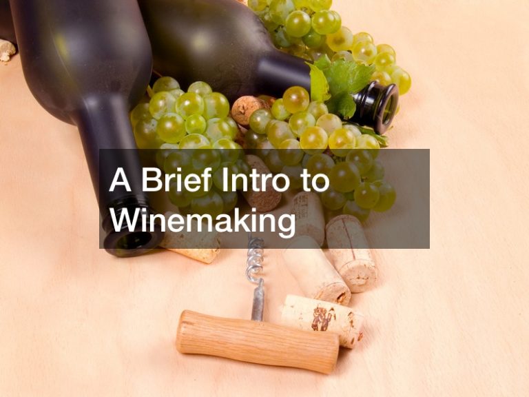 A Brief Intro to Winemaking Food Talk Online
